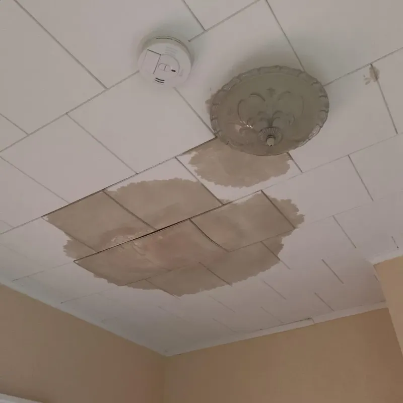 Ceiling Water Damage Repair in Brookside Village, TX