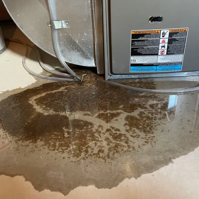 Pipe Burst and Leak Restoration in Brookside Village, TX