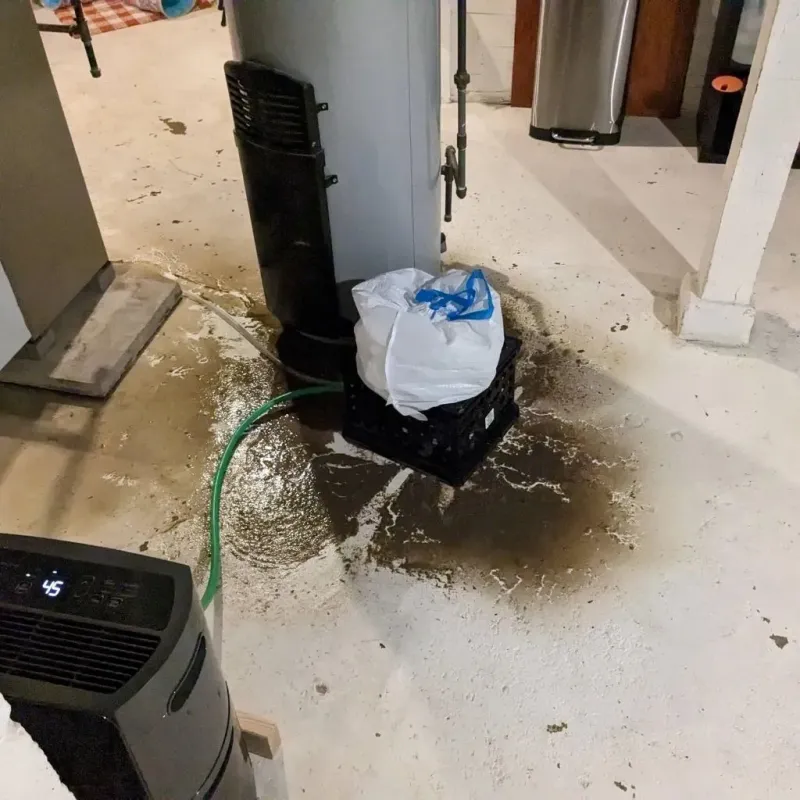 Sewage Backup Cleanup Service in Brookside Village, TX